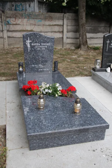 Master file0000062717