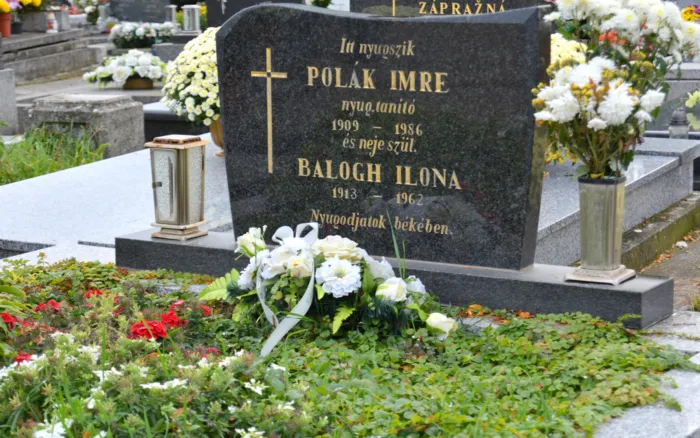 Master file0000059358