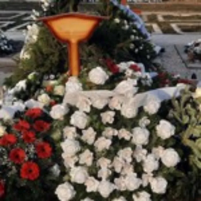 Master file0000053796