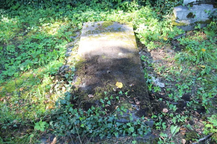 Master file0000076451