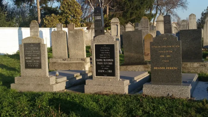 Master file0000062924