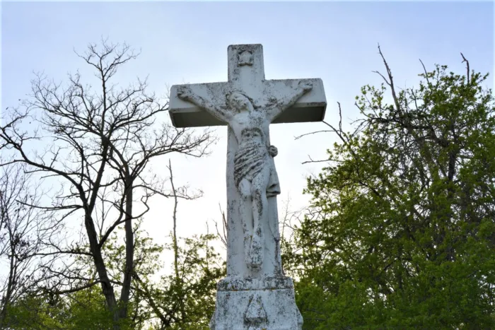 Master file0000066029