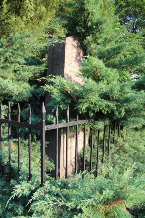 Master file0000064624