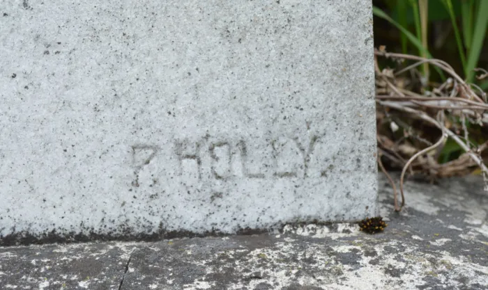 Master file0000080309