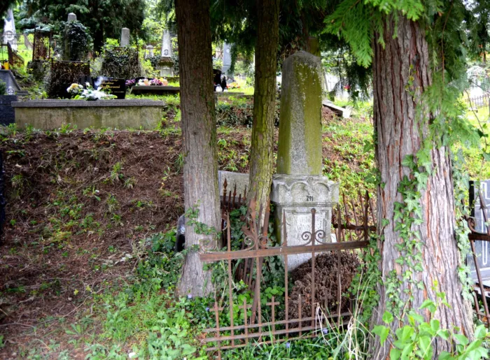 Master file0000067096