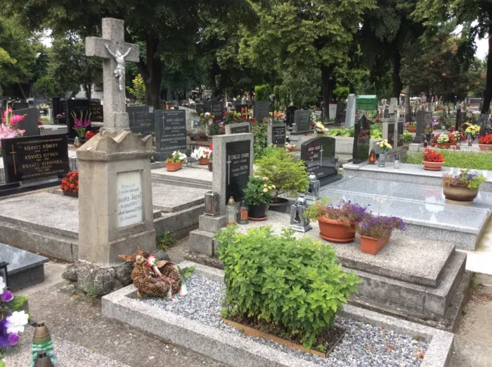 Master file0000078467