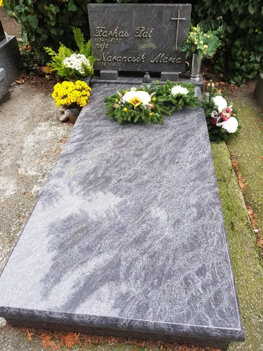 Master file0000071098