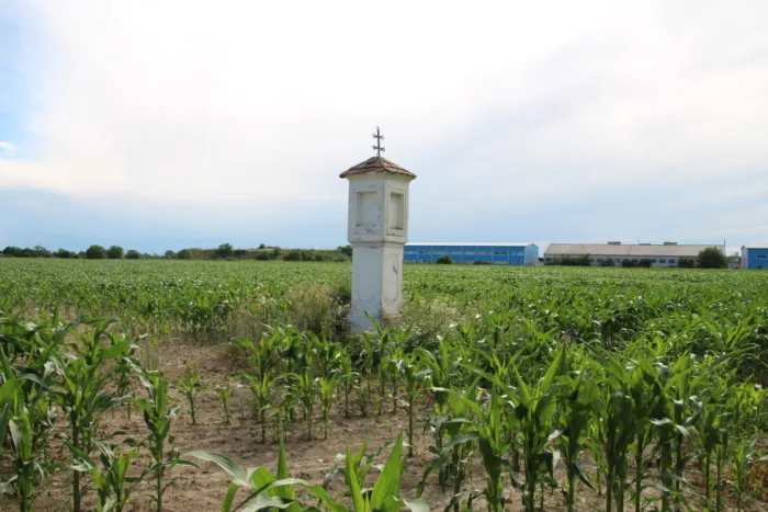 Master file0000068926