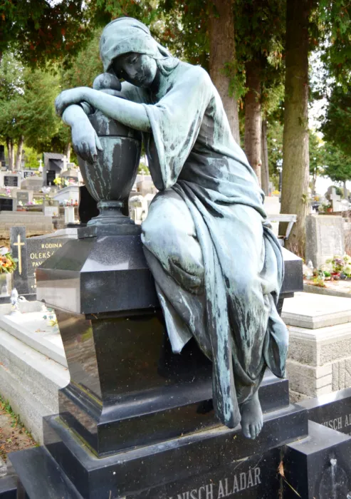 Master file0000072368