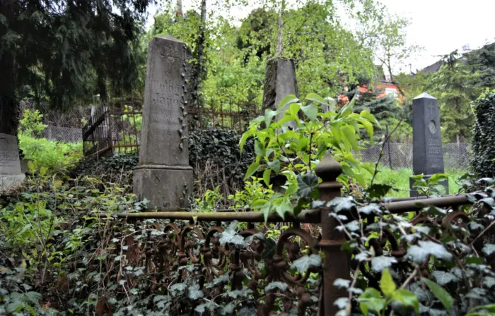 Master file0000077391