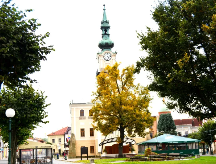 Master file0000063654