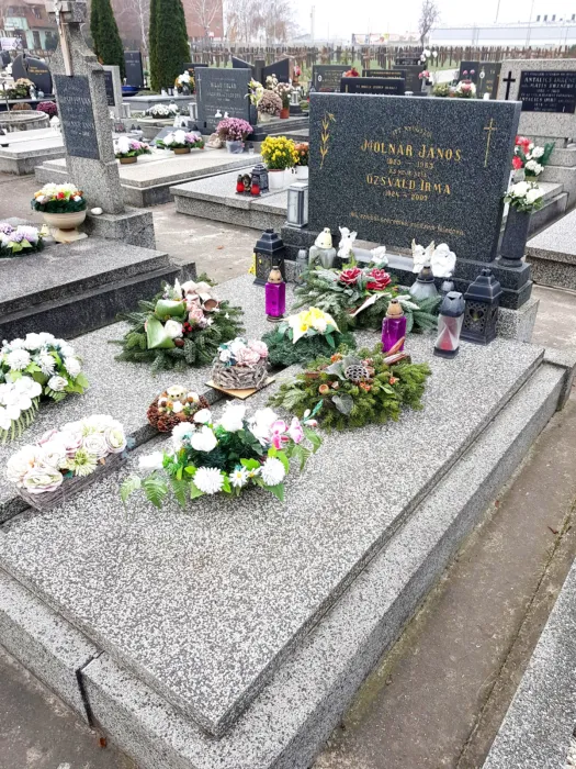 Master file0000076489