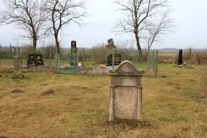 Master file0000061216