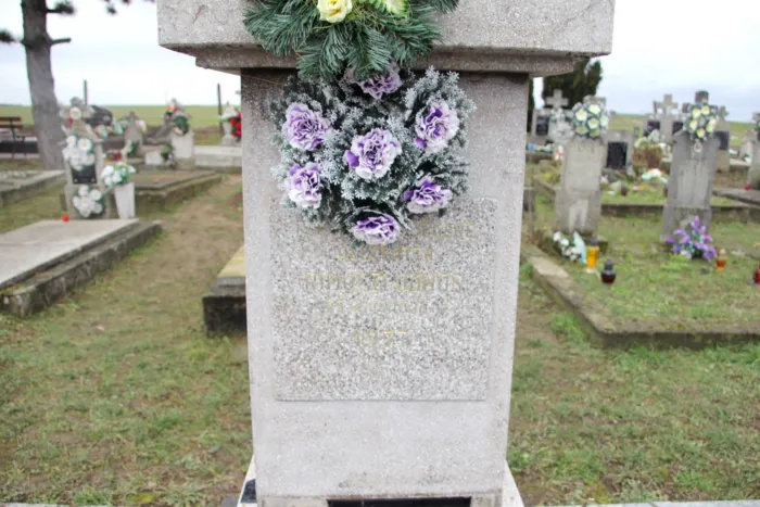 Master file0000074699