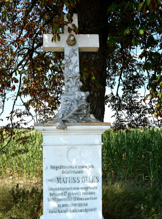 Master file0000075531