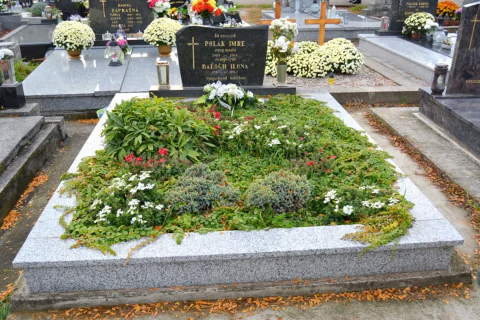 Master file0000075181