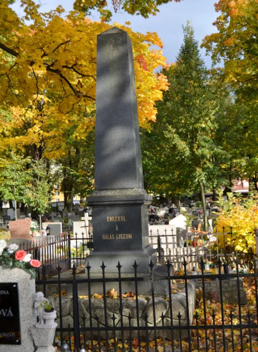 Master file0000079641