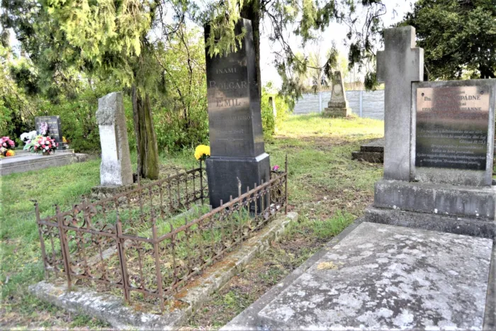 Master file0000060959