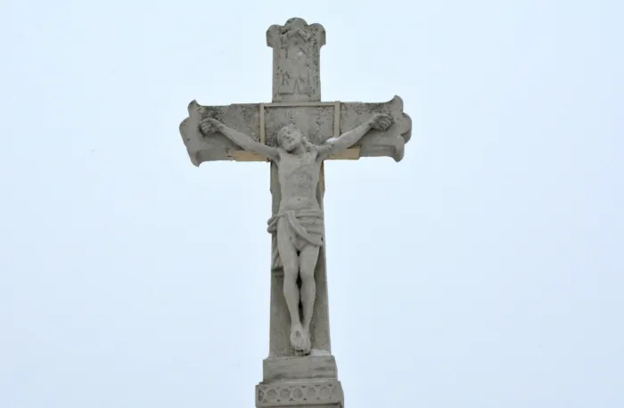 Master file0000078561