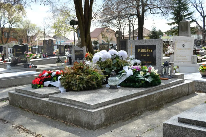 Master file0000066940