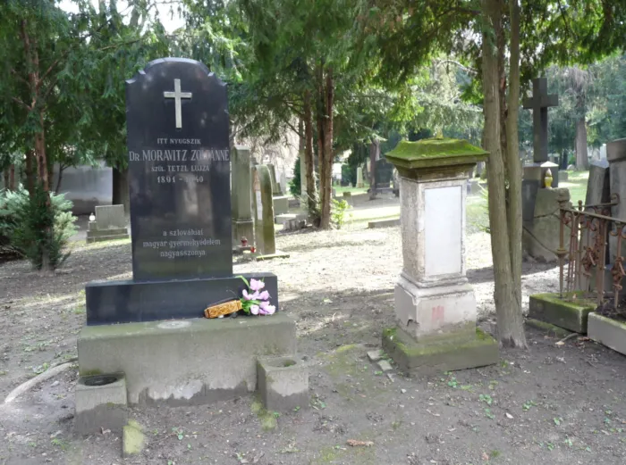 Master file0000076406