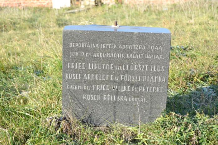 Master file0000074425