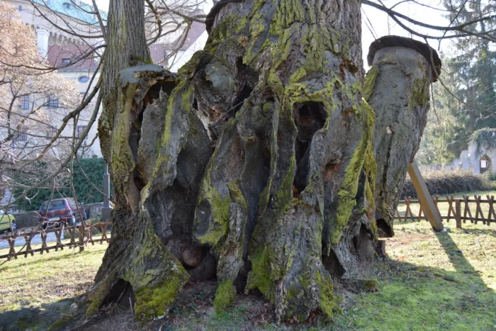 Master file0000072491