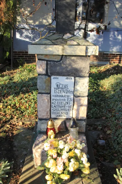 Master file0000070811