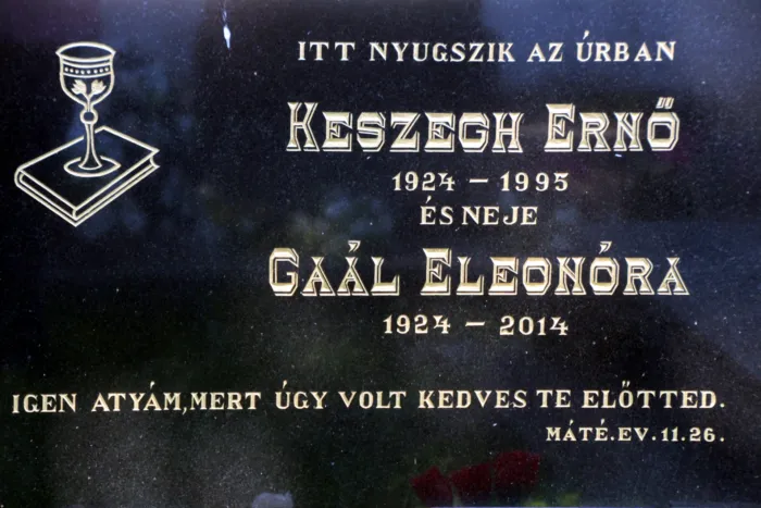 Master file0000063333