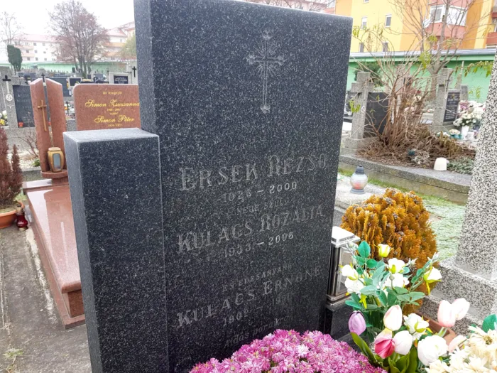 Master file0000079508