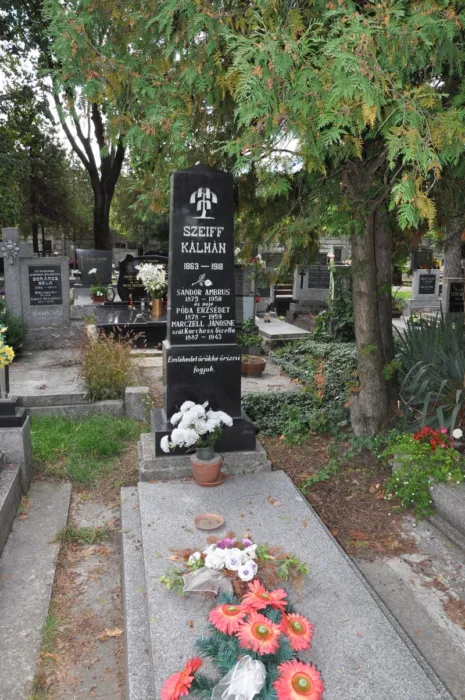 Master file0000070650