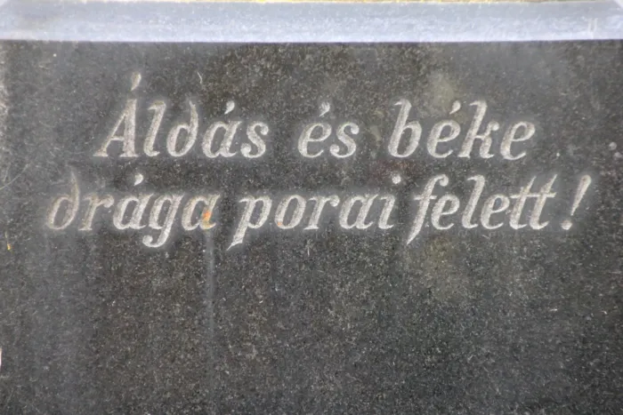 Master file0000060806