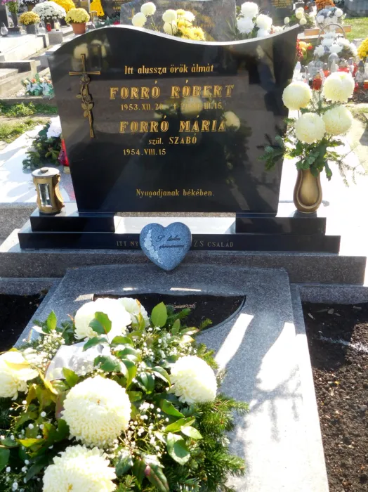 Master file0000073387