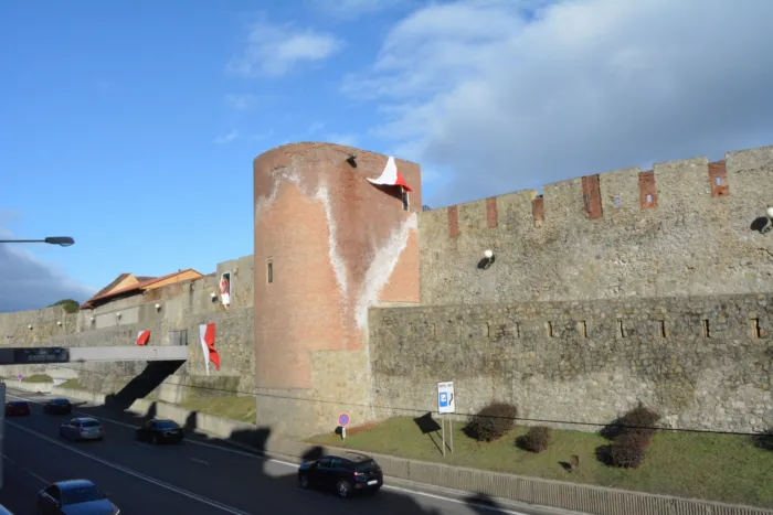 Master file0000076550