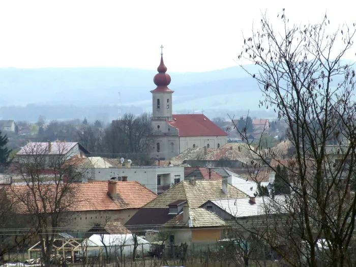 Master file0000068351