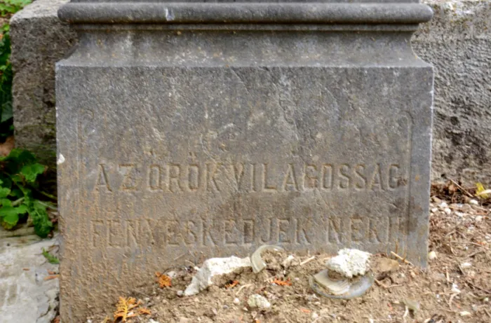 Master file0000069511