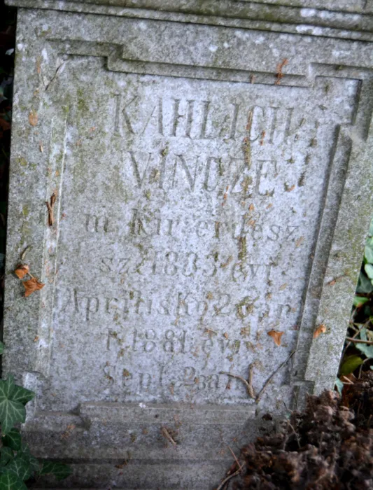 Master file0000077655