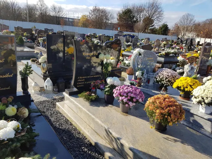 Master file0000066596