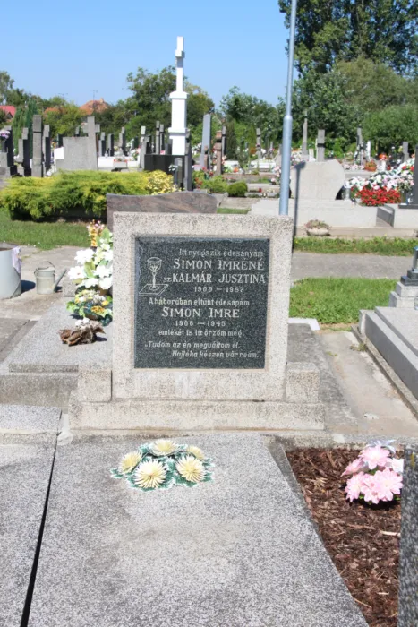 Master file0000068971