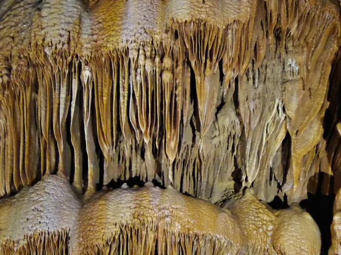 Master file0000053807