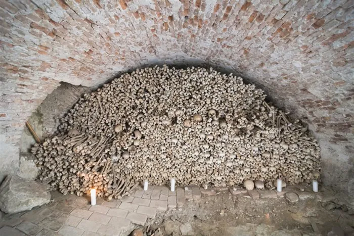 Master file0000078109