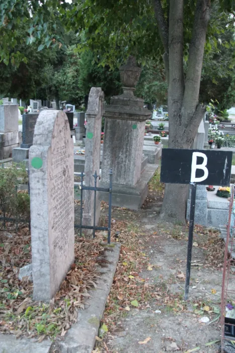 Master file0000073976