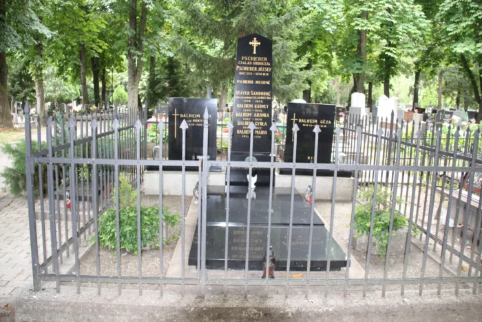 Master file0000075914