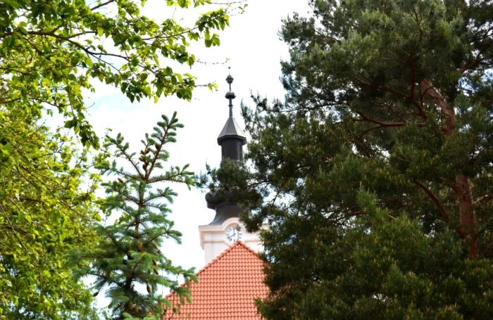 Master file0000069395