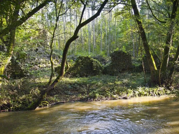 Master file0000039732