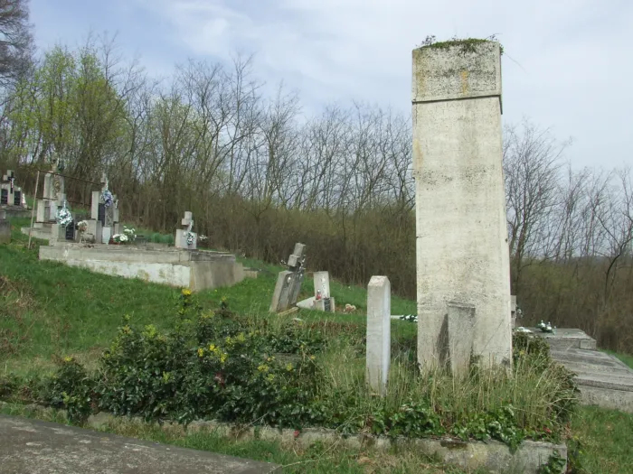 Master file0000064608