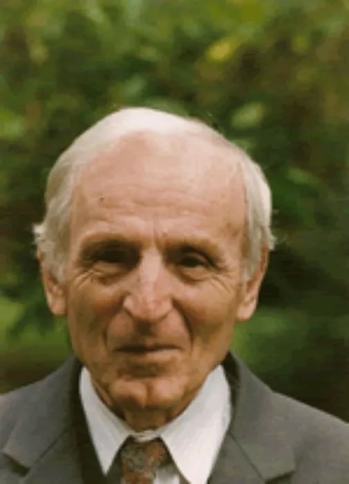 Master file0000081931