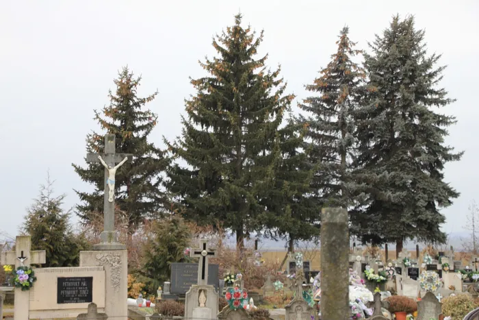 Master file0000067878