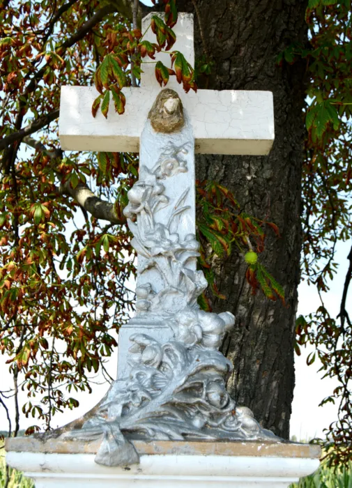 Master file0000079353