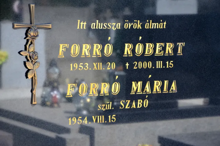 Master file0000077570